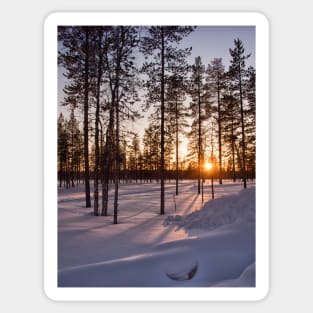 Yet Another Gorgeous Lapland Sunset Sticker